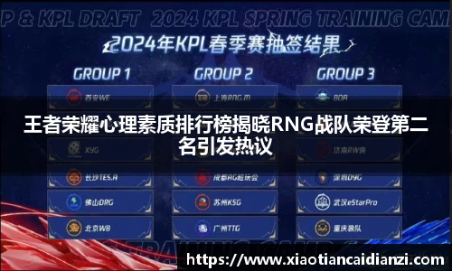 王者荣耀心理素质排行榜揭晓RNG战队荣登第二名引发热议
